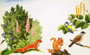 Hasselträdet