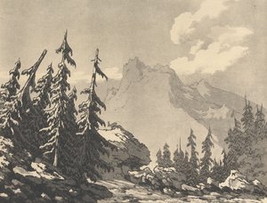 Gran och ädelgran av John Robert Cozens