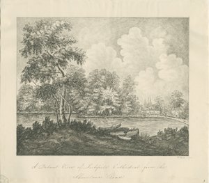 Lichfield Cathedral - West South West view (avlägsen): pennteckning av John Robert Fernyhough