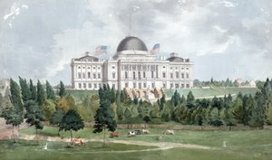 Västra fronten av USAs Capitol med kor i förgrunden 1831 (olja på duk)