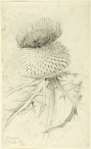 St Cergues av John Ruskin
