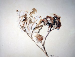 Studie av eklöv av John Ruskin