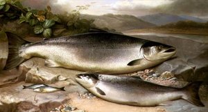 Fisk stilleben av John Russell