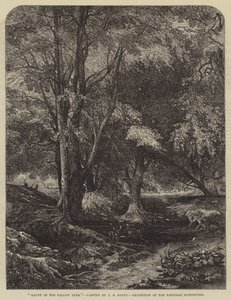 Dovhjortens tillhåll