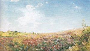 Sommarlandskap