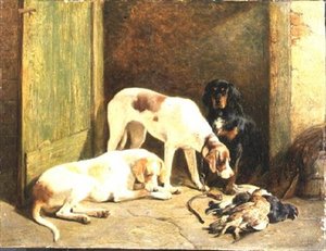 Pointers och en Gordon Setter