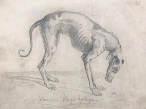 En utsvulten vinthund av John Sell Cotman