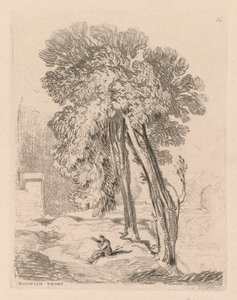 Liber Studiorum: Plate 18, Trees at Norwich Thorp, Norfolk, 1838. av John Sell Cotman