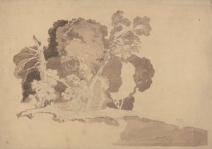 Studie av träd av John Sell Cotman