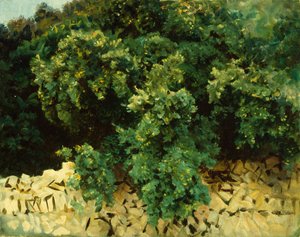 Ilex Wood, Mallorca av John Singer Sargent