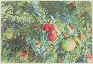 Granatäpplen, 1908 (wc över penna på papper) av John Singer Sargent