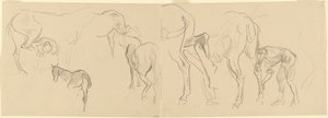Studier för skoning av Calvary Horses at the Front [recto], 1918. av John Singer Sargent