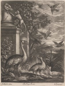 Kings Birds av John Smith
