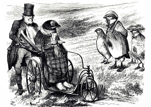 En tecknad serie som kommenterar avstängningen av Grouse Shooting för att låta beståndet byggas upp igen. Illustrerad av John Tenniel (1820-1914), en engelsk illustratör, grafisk humorist och politisk serietecknare av John Tenniel