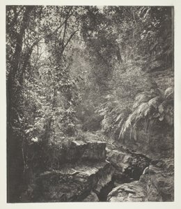 Ett bergspass i Formosa av John Thomson