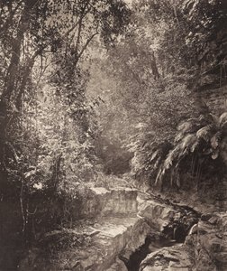 Ett bergspass på ön Formosa av John Thomson