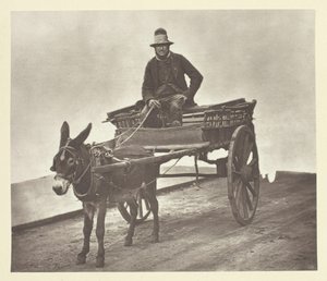 Black Jack, 1881. av John Thomson