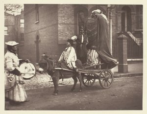Novemberbilder av John Thomson