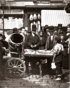 The Cheap Fish of St-Giles, från "Street Life in London", av J. Thomson och Adolphe Smith av John Thomson