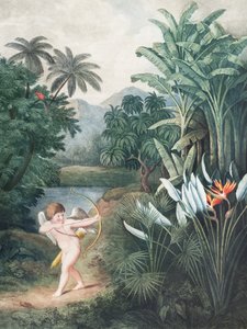 Cupido inspirerar växter med kärlek från Floras tempel (1807) av Robert John Thornton av John Thornton