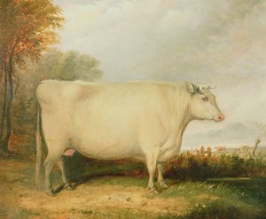 Porträtt av en prisko av John Vine