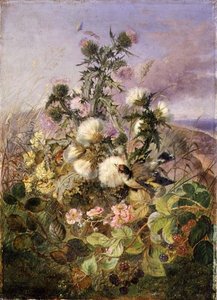 En guldfink och en fjäril bland tistlar och björnbärsblommor