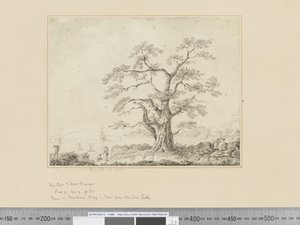 F.44 Utsikt över havet, stort träd i mitten, ca 1783-84 av John Webber