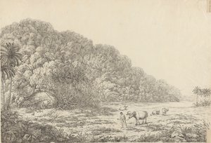 Utsikt på ön Pulo Condore av John Webber