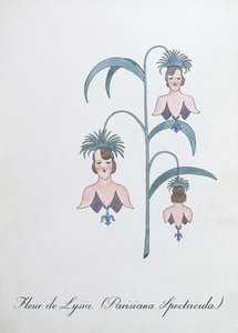 Fleur de Lysia (Parisiana Spectacula.), illustration från "The Bogus Book of Botany" av John Weir