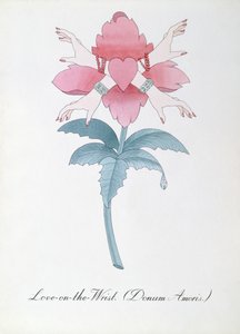 Love-on-the-Wrist (Donum Amoris.) illustration från "The Bogus Book of Botany" av John Weir