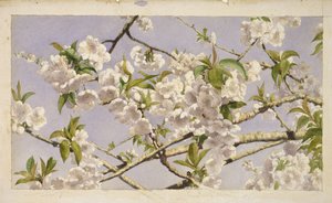 Apple Blossoms, ca 1874 (wc på papper) av John William Hill
