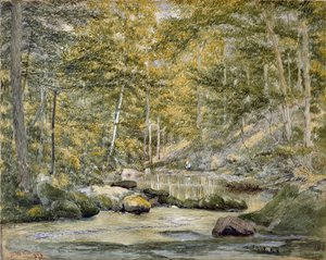 Woodland Pool with Men Fishing, 1870 (wc on paper)swed