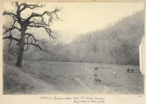 Razavi Khorasan-provinsen, Iran, ca 1908 (s/v-foto)