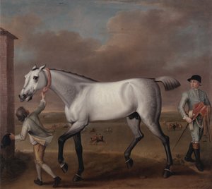 Hertigen av Hamiltons grå galopphäst "Victorious" på Newmarket