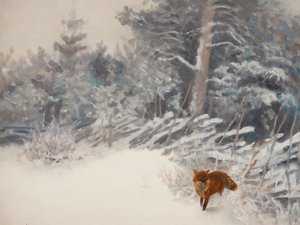 Vinterskogsräven