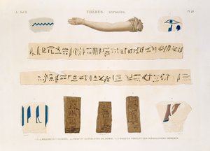 Illustrationer av hieroglyfer och en mumies arm från Hypogees, Thebe, plåt 48 från Vol II av `Descriptions of Egypt`, graverad av Charles, 1822 (akvatint) av Jomard