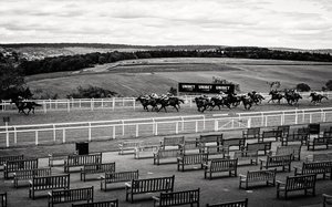 The Goodwood Estate i West Sussex, Storbritannien, 2020 (foto)