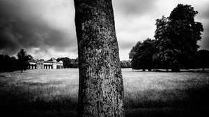The Goodwood Estate i West Sussex, Storbritannien, 2020 (foto)