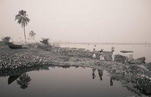 Fiske i våtmark i Kolkata, 2016 (foto)