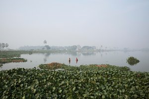 Fiske i våtmark i Kolkata, 2016 (foto) av Jon Nicholson