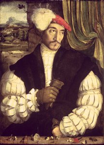 Porträtt av en man, 1533 av Jorg I Breu