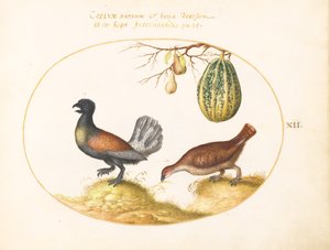 Tallrik 12: Ripa med en melon och päron av Joris Hoefnagel