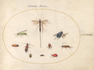 Skylt 78: Tio insekter, inklusive en blå fluga av Joris Hoefnagel