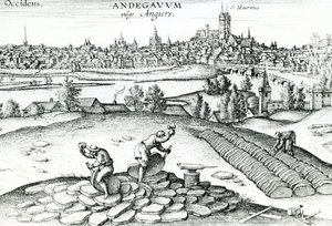 Skifferbrott i Angers, 1561 av Joris Hoefnagel