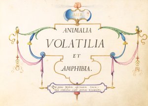 Titelsida av Joris Hoefnagel