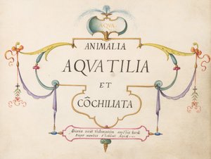 Titelsida av Joris Hoefnagel