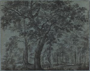 Skogen på natten med resenärer