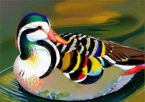 Djur: mandarin anka 3
