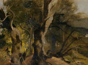 Waldstudie av Josef Navrátil