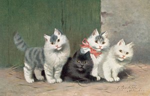 Vykort med katt (färglitografi)